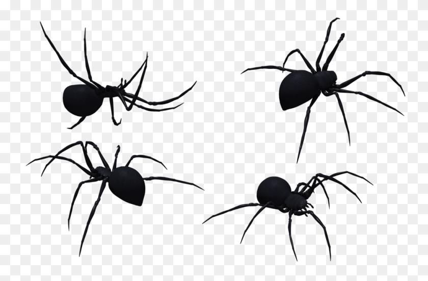 1024x645 Widow Spiders Stock Xchng Stock Photography Clip Art - Black Widow Clipart