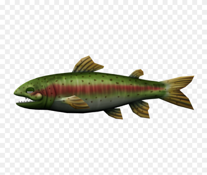 750x650 Wii - Trout PNG