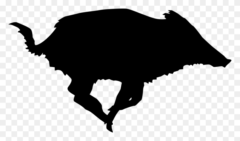 1346x750 Wild Boar Coyote Shooting Targets Boar Hunting - Coyote Clipart Black And White