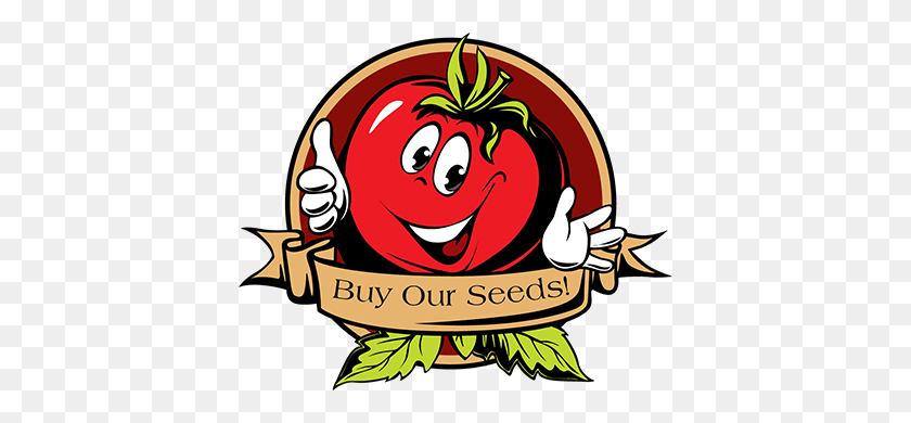 400x330 Wild Boar Tomato Plant Sales - Tomato Plant PNG