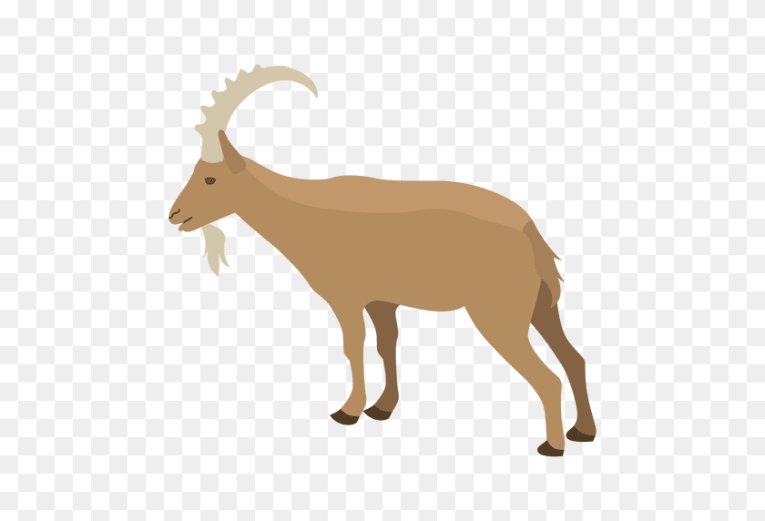 512x512 Wild Goat Illustration - Goat PNG