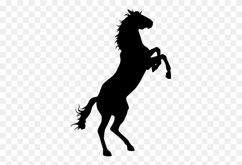 512x512 Дикая Лошадь Черный Силуэт - Дикая Лошадь Клипарт