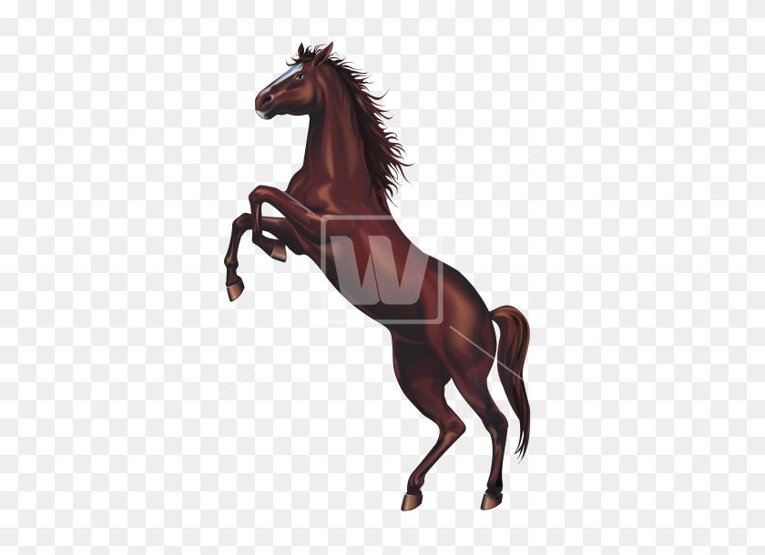 367x550 Wild Horse Png - Mustang Horse PNG