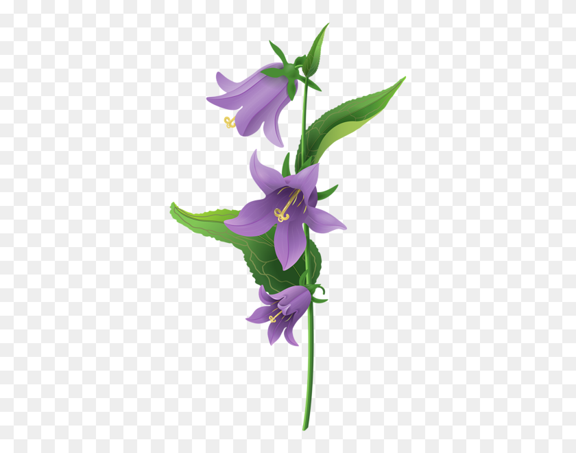 356x600 Wild Purple Bell Flower Png Clip Art - Wild Flowers Clipart