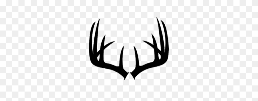 271x271 Wild Rivers Whitetails Northeastern Wisconsin Professional - Deer Rack Clipart