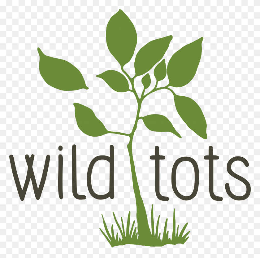 4023x3991 Wild Tots Запускает Свою Первую Лицензированную Группу С Партнерами - Wild Grass Png