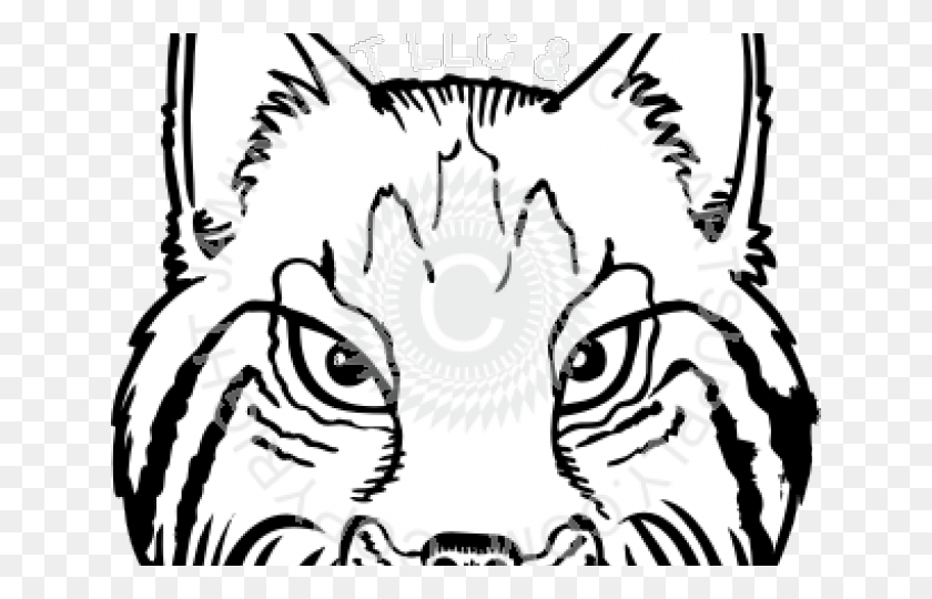 640x480 Wildcat Clipart - Wildcat Mascot Clipart