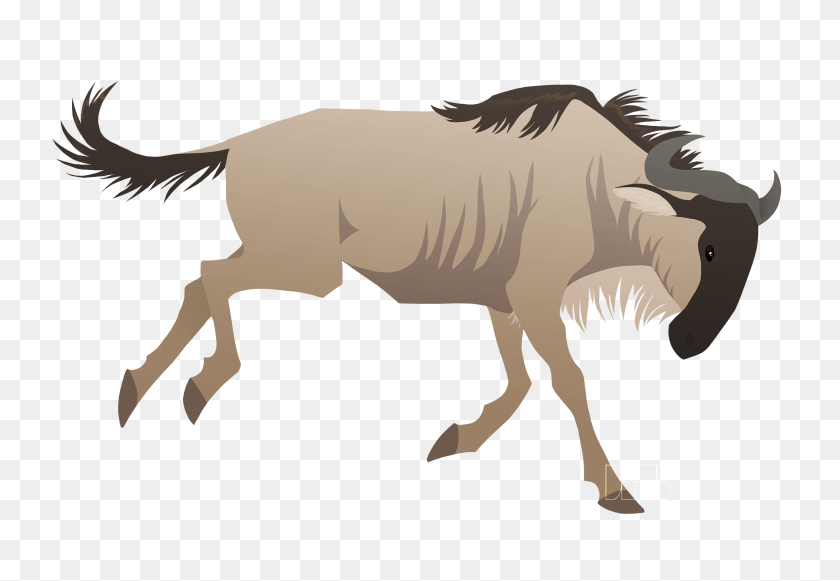 2320x1552 Wildebeest Clipart - I Want Clipart