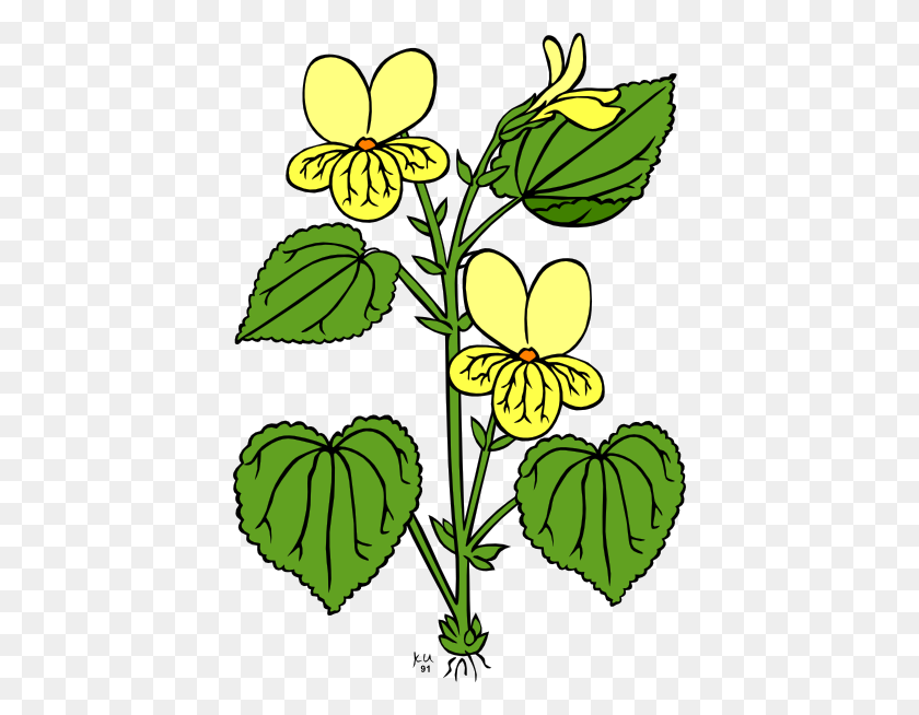 414x594 Wildflower Clipart Small Plant - Different Clipart