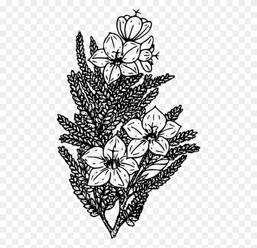 470x750 Wildflower Coloring Book Black And White - Snapdragon Clipart