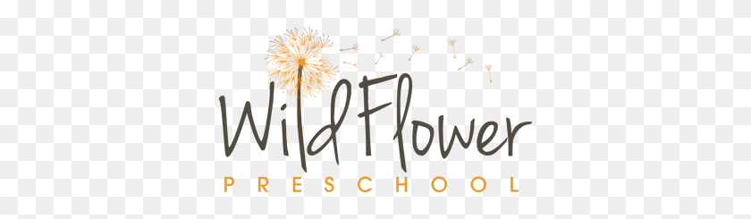 350x185 Wildflower Preschool - Wildflowers PNG