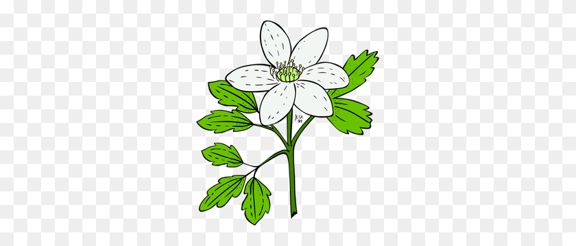 267x300 Wildflowers Free Clipart - Wildflowers PNG