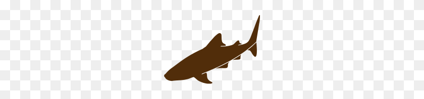 190x137 Дикая Природа Китовая Акула - Китовая Акула Png