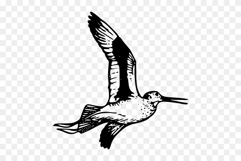 493x500 Willet Vector Clip Art - Hummingbird Clipart Black And White