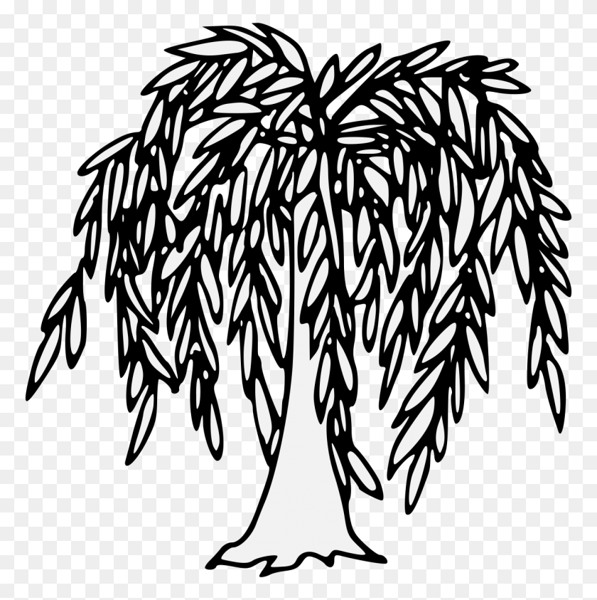 1237x1242 Willow - Weeping Willow Clip Art