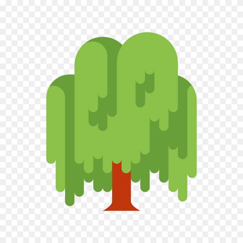1600x1600 Willow Icon - Willow Tree PNG