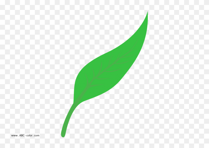 822x567 Willow Leaves Clip Art Free Cliparts - Willow Clip Art