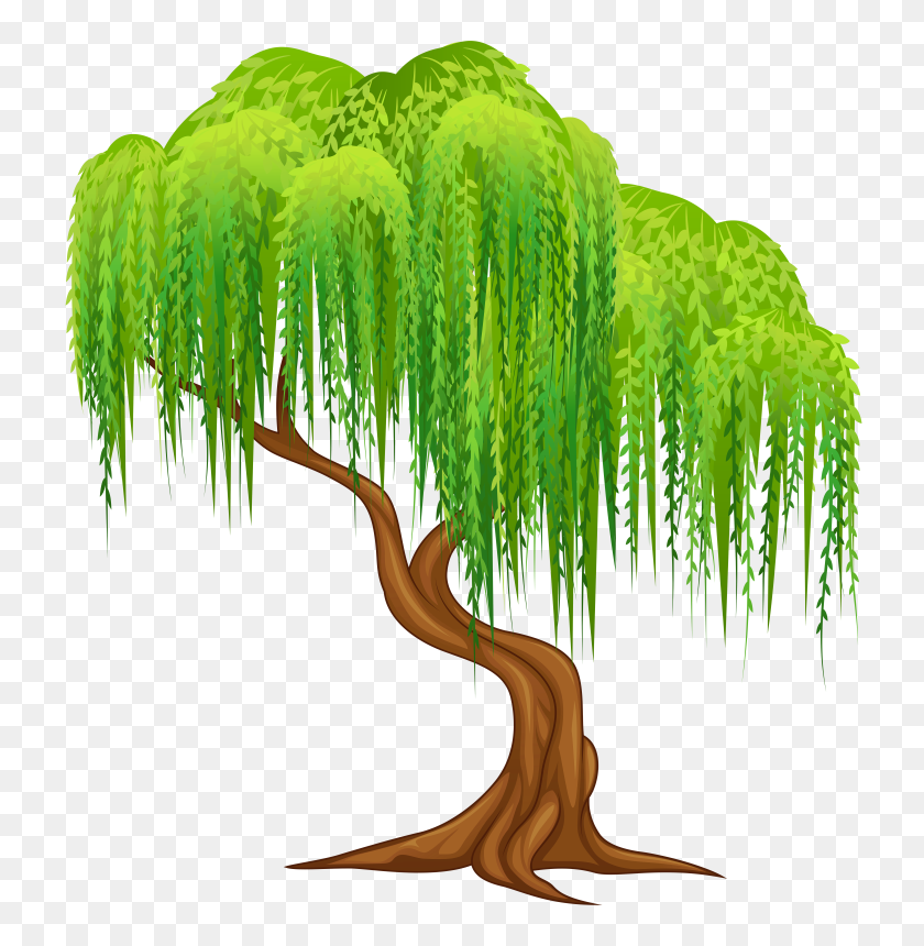 741x800 Willow Tree Clipart - Willow Clip Art
