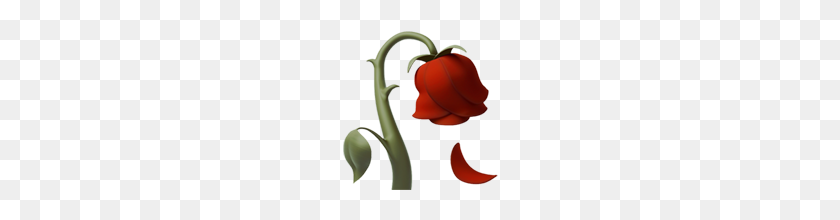 160x160 Wilted Flower Emoji On Apple Ios - Flower Emoji PNG