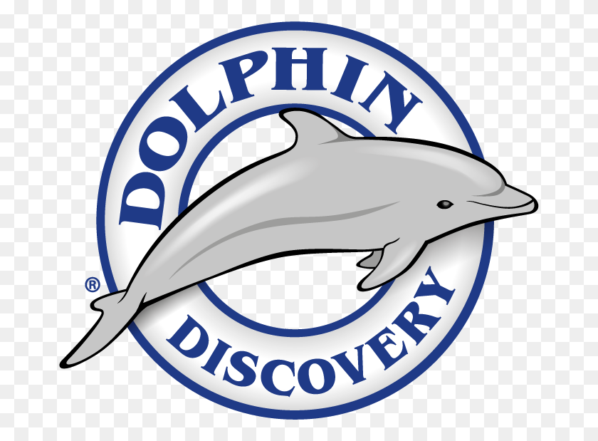 674x559 Gana Y Nada Con Delfines En El Concurso My Royal Moment - Dolphins Logo Png