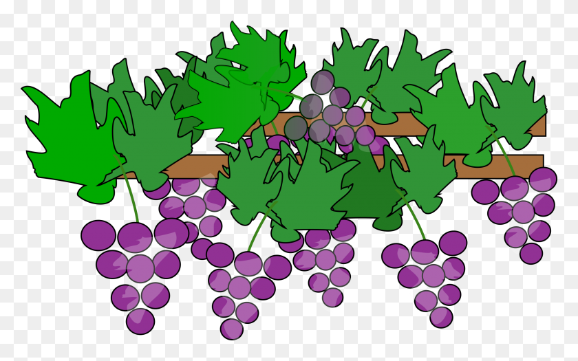 2400x1432 Wine Grapes Clip Art Png Loadtve - Grapes Clipart