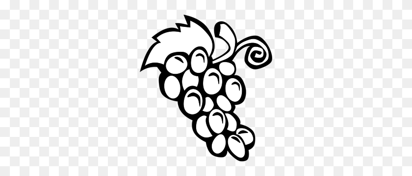 270x300 Wine Grapes Clipart Clip Art Images - Wine Clipart Black And White