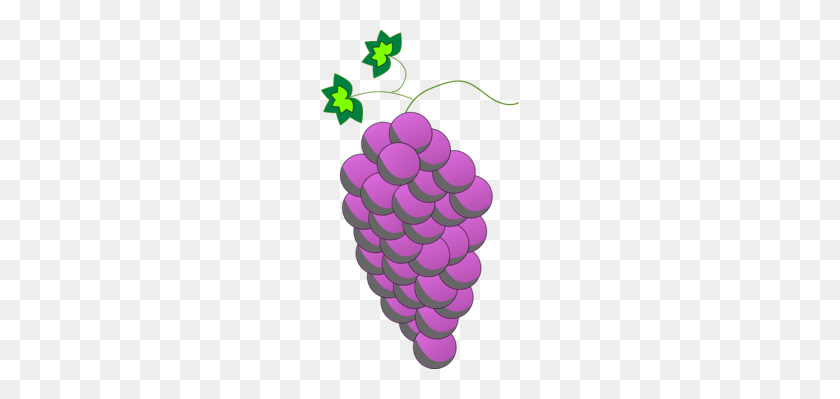 198x339 Wine Logo Brand Grape City - Leaf Vine Clip Art