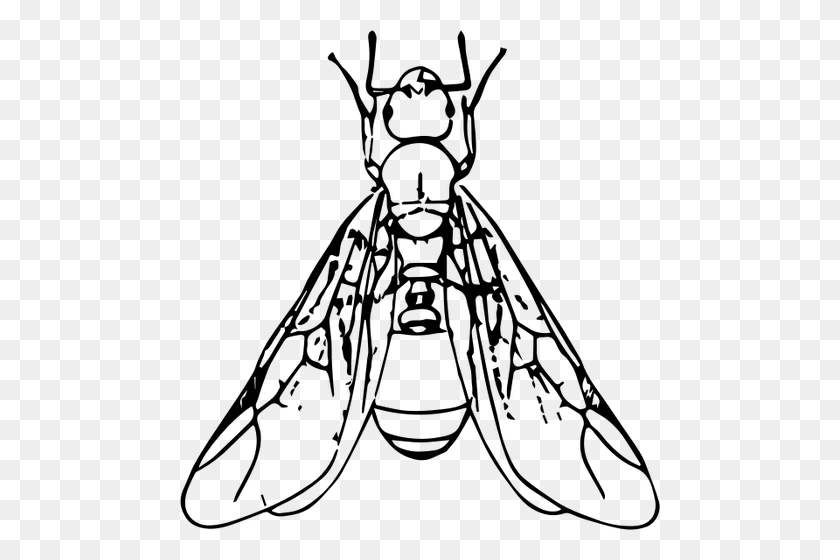 480x500 Winged Ant - Winged Foot Clipart