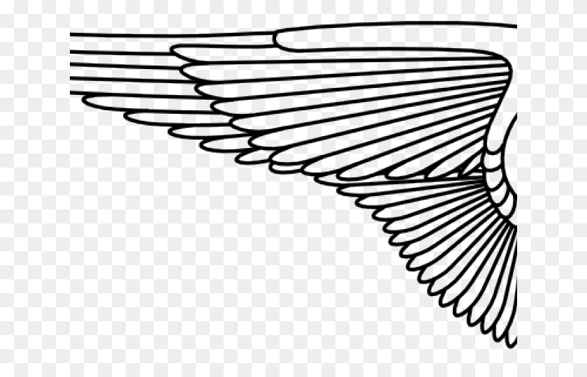 640x480 Wings Clipart Line Art - Wings Clipart Black And White