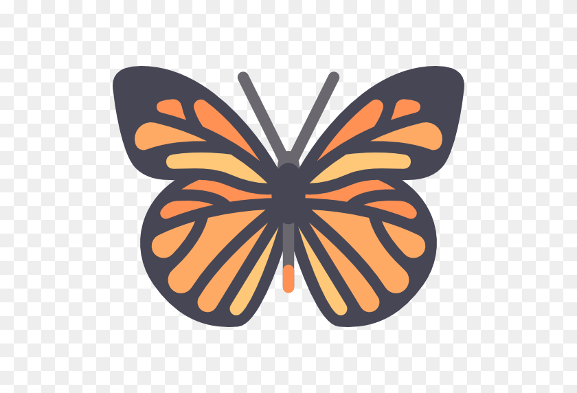 512x512 Wings Icon - Butterfly Wings PNG