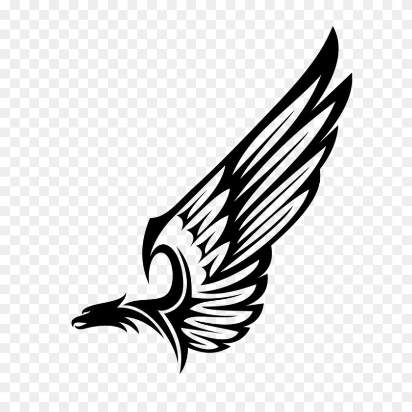800x800 Wings Png Images Transparent Free Download - Bird Wings PNG