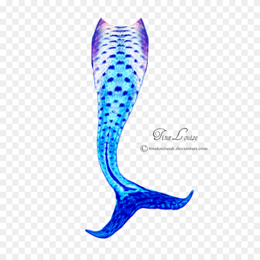 894x894 Winsome Mermaid Tail Mermaid Tail Monogram Seashell Monogram - Mermaid Fin Clipart