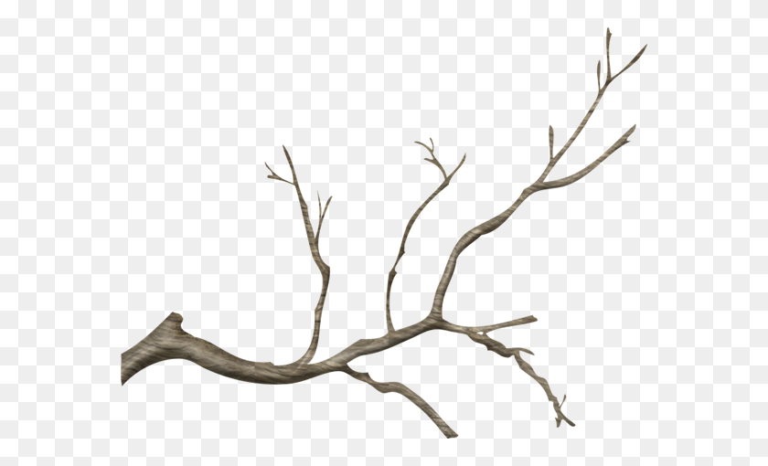 576x450 Winter Clip Art Branch - Winter Tree Clipart