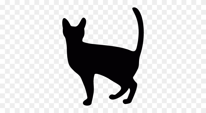 400x400 Witch Cat Free Vectors, Logos, Icons And Photos Downloads - Cat Vector PNG