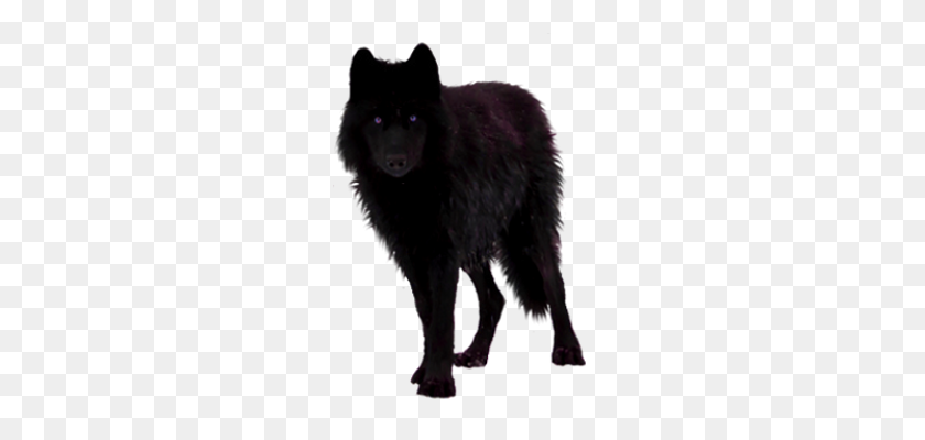 235x340 Imagen De Lobo Png, Descarga De Imagen Gratis - Lobo Png