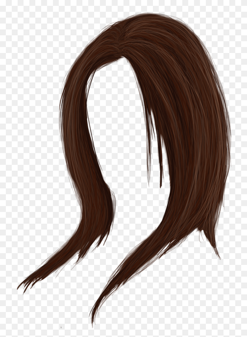 736x1085 Women Hair Png Images Transparent Free Download - Hair PNG