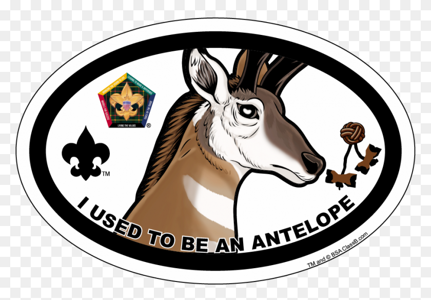 903x607 Wood Badge Antelope Oval Magnet - Wood Badge Clip Art