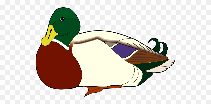 555x357 Wood Duck Clipart - Wood Carving Clipart