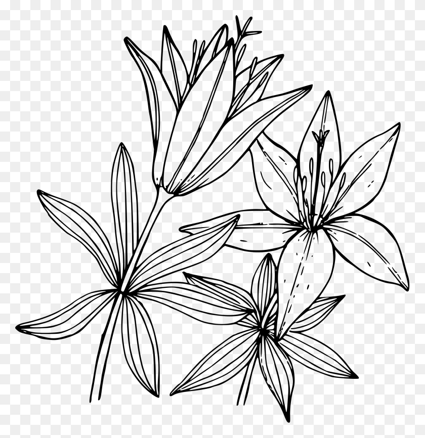 2320x2400 Wood Lily Icons Png - Lily PNG