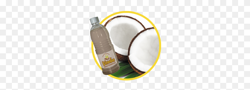 250x244 Wood Pressed Coconut Oil - Coconut PNG