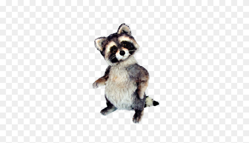 325x423 Woody Racoon - Mapache Png