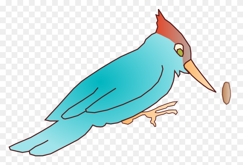 1147x750 Woody Woodpecker Bird Dibujo De Descarga - Woody Png