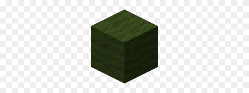 256x256 Wool - Minecraft Grass Block PNG