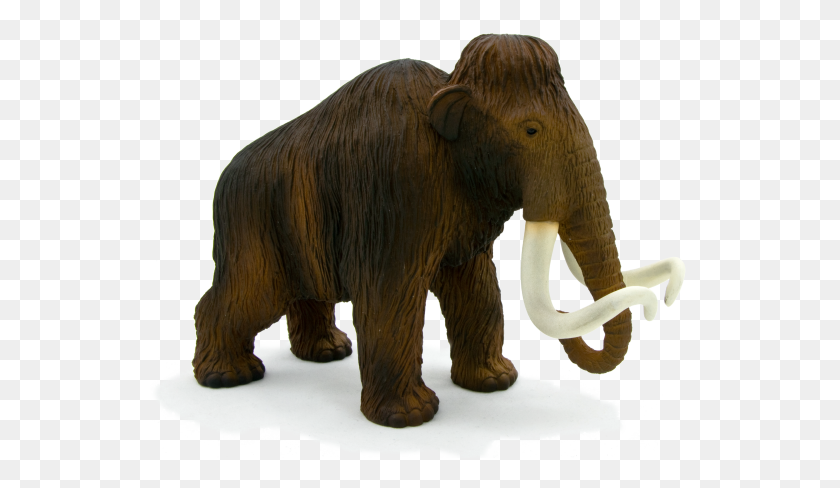 540x428 Woolly Mammoth Scale - Mammoth PNG