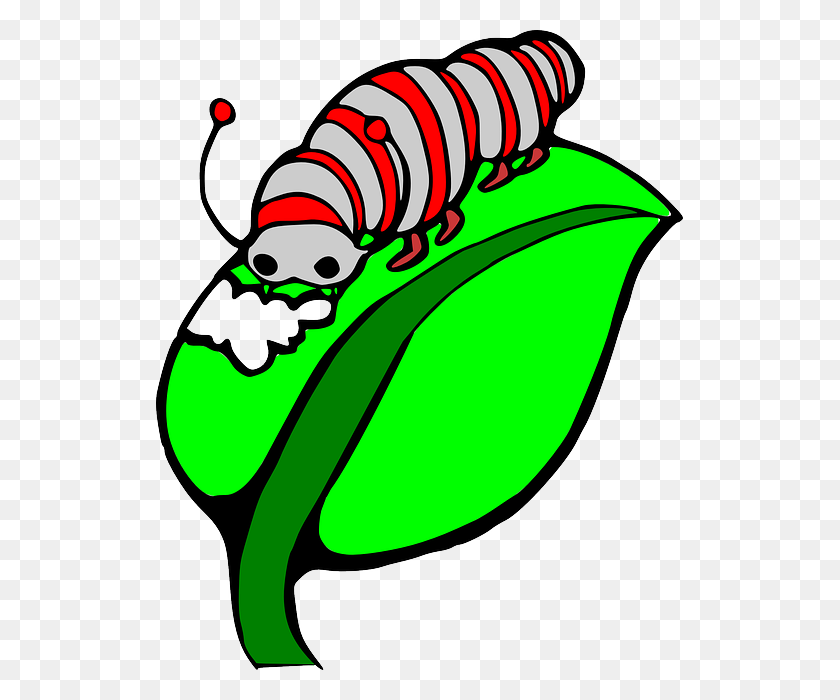 527x640 Worms Clipart Caterpillar - Eaten Apple Clipart