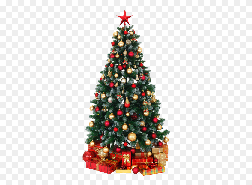 294x557 Wrapping Trees With Christmas Lights - Tree PNG Plan