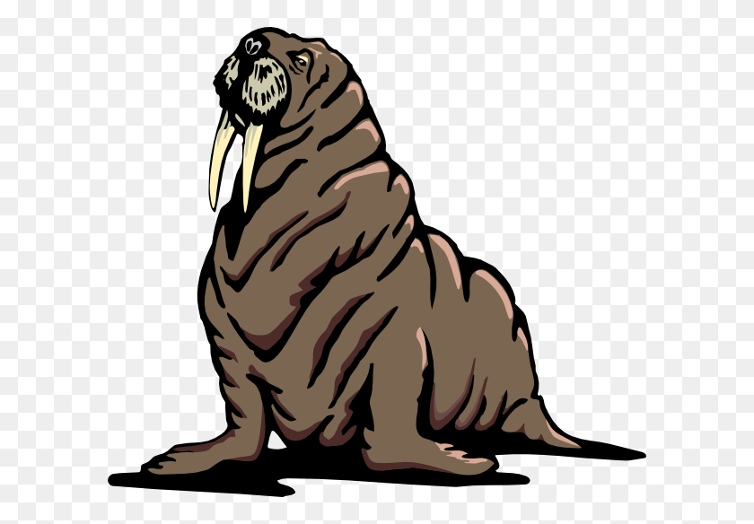600x524 Wrinkled Walrus Clip Art - Sea Lion Clipart