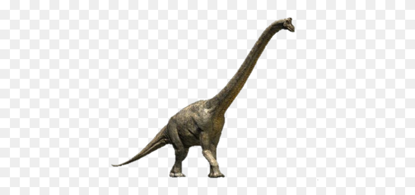 448x336 Wwd Brachiosaurus Render - Brachiosaurus Png