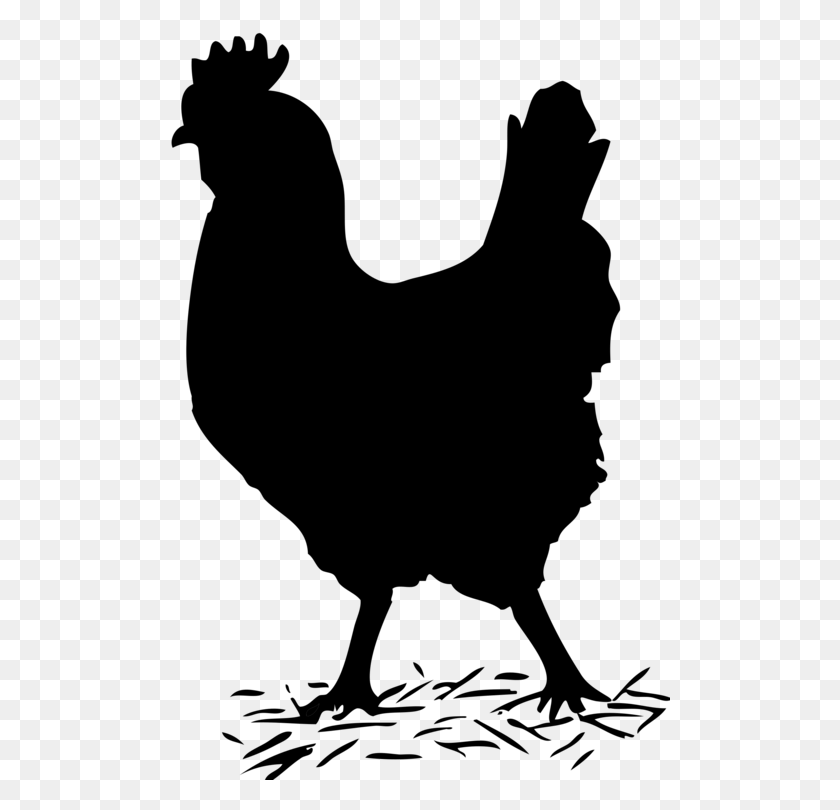 501x750 Wyandotte Chicken Rhode Island Red Rooster Galliformes Poultry - Rhode Island Clipart