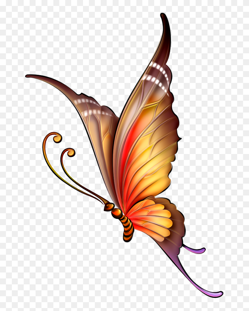 681x990 Xxl Butterfly Printables - Quetzal Clipart
